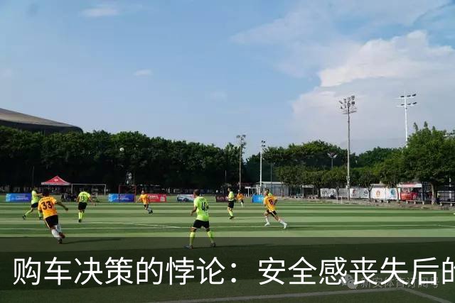 购车决策的悖论：安全感丧失后的纠结